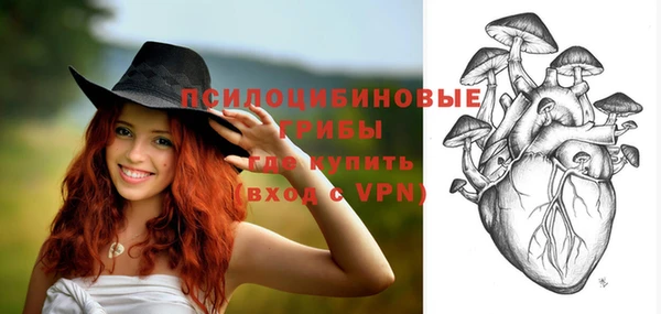 ГАЛЛЮЦИНОГЕННЫЕ ГРИБЫ Няндома