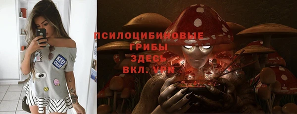 бошки Нягань