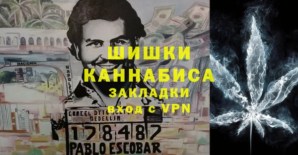метадон Алексин