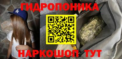 бутират Кингисепп