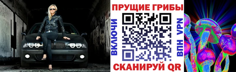 Псилоцибиновые грибы Magic Shrooms  что такое   Нижнеудинск 