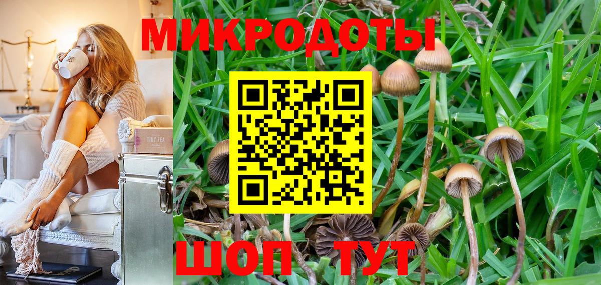 Нижнеудинск  Псилоцибиновые грибы Psilocybe  Вход с VPN 