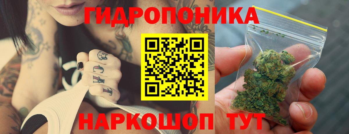Канабис гибрид  Вход с VPN  МАРИХУАНА сатива  Нижнеудинск  Бошки марихуана OG Kush 